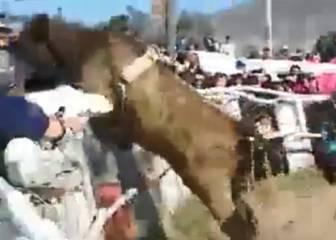 ¡Toro escapó de la medialuna y embistió al público en Huasco Bajo!