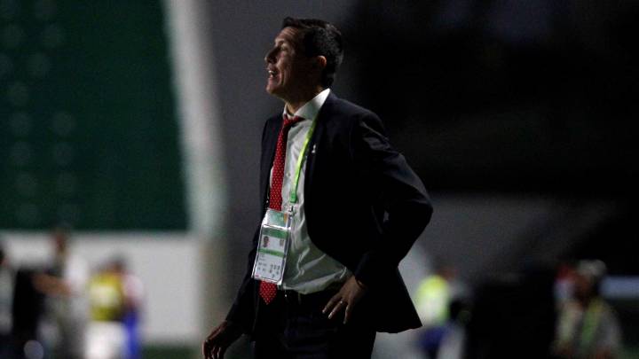 El técnico de la Roja Sub 17 valoró la victoria ante Haití. "El partido tenía una carga emocional por los 22 años que una Sub 17 no ganaba fuera de Chile", agregó.