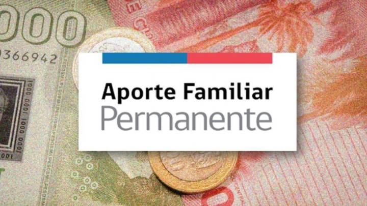 Bono Marzo 2020: cuál es el monto y cuándo es la fecha de pago del aporte