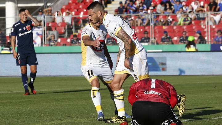 Pinilla amarga a la U