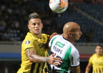 Palestino dijo adiós a la Copa