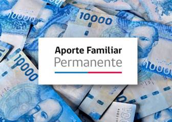 Bono Marzo 2020: beneficiarios por RUT y fecha de nacimiento en el segundo grupo