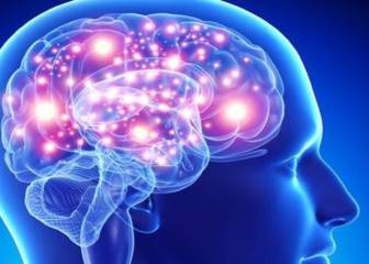 El cerebro rechaza los cambios