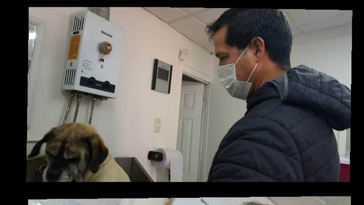 "Hoy prefiero bañar y secar perritos": la nueva vida de ex figura de Colo Colo