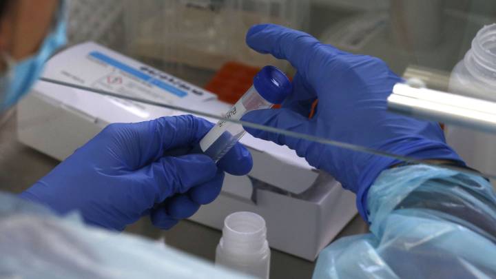 Coronavirus Chile: ¿Qué se sabe de la mutación del virus en Magallanes?