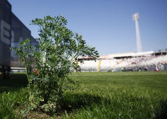 El llamativo regreso de la ruda que marcó el partido del Cacique
