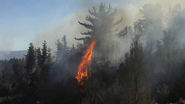 Alerta roja en Monte Patria por incendio: medidas y restricciones a la movilidad
