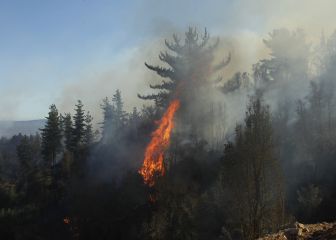 Alerta roja en Monte Patria por incendio: medidas y restricciones a la movilidad