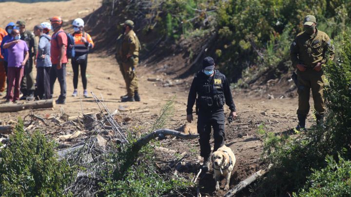 Sigue el minuto a minuto en vivo y en directo online de AS.com con toda la información respecto al caso de la desaparición de Tomás Bravo en Caripilún.