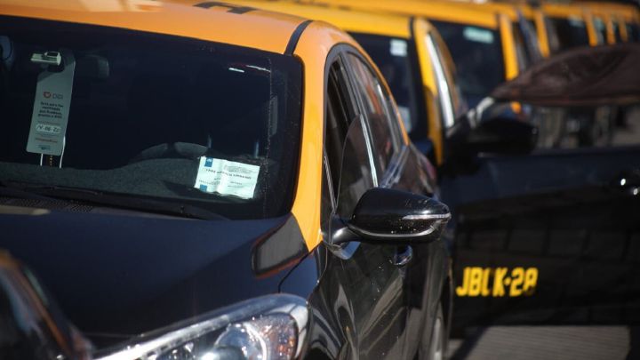 Bono para Transportistas: cómo saber si lo puedo recibir con mi RUT y cuánto dinero cobraré