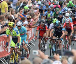 Asoman los gallos del Tour