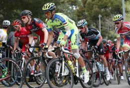 Contador: "Me dolía el hombro, sobre todo en los baches"
