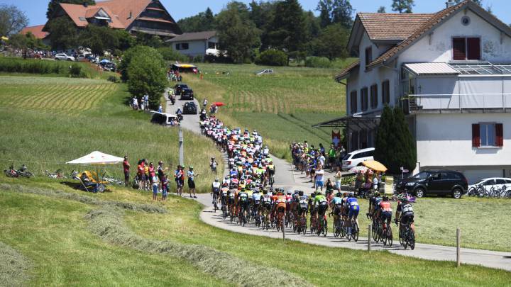 El pelotón rueda durante la primera etapa del Tour de Suiza con final en Cham.