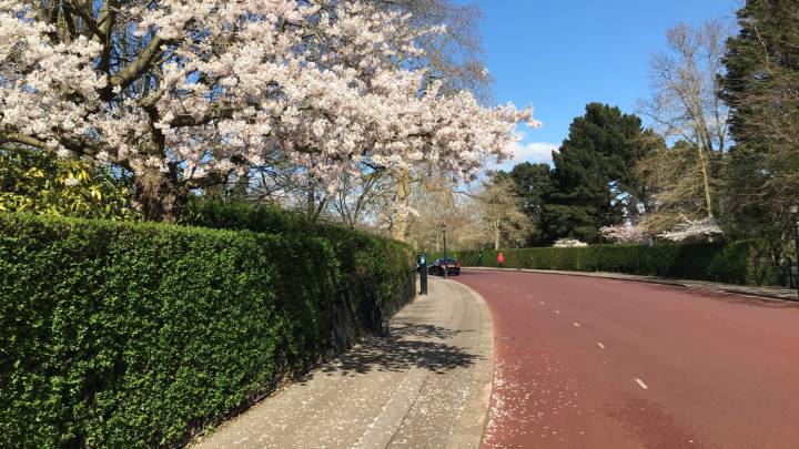 Los Parques Reales de Londres pueden cerrar si los ciclistas no respetan las normas de distancia