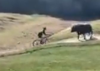 Durísimo: ¡un toro embiste a un ciclista en plena prueba!