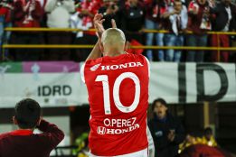 Los otros símbolos de Santa Fe: el león y la calva de Omar