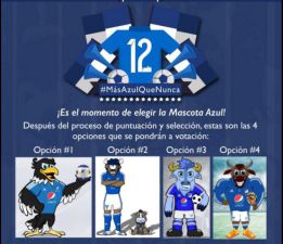 Millonarios suspende concurso para escoger su mascota