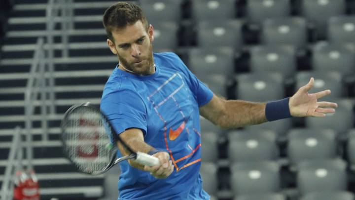 Juan Martín del Potro, tenista número 38 en el ránking ATP.