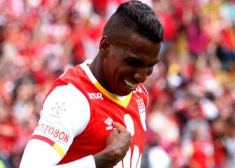 Arango: