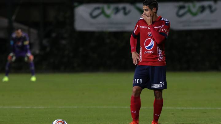 Mauricio Molina y Toloza están recuperados