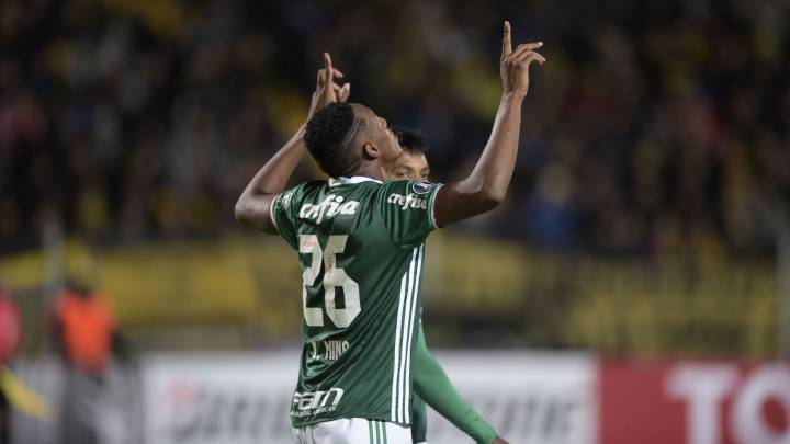 Yerry Mina es un jugador indispensable en Selección y Palmeiras.
