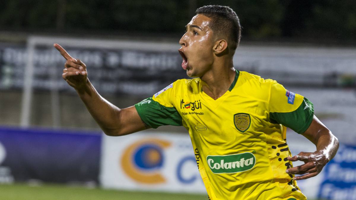 Leones asciende a primera división
