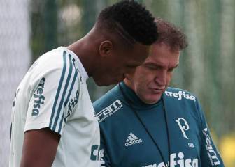 Cuca: