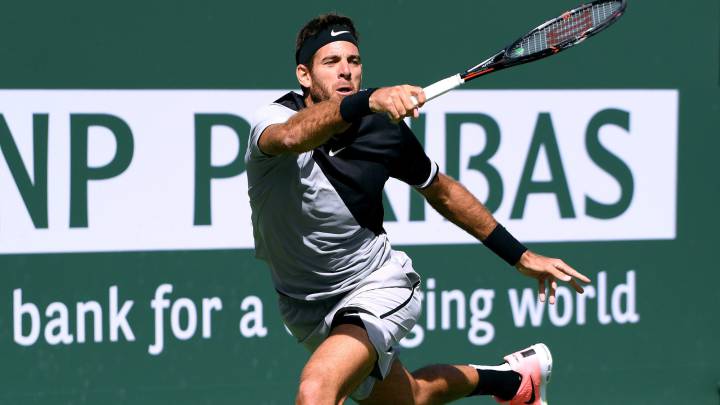 Del Potro da una lección a Federer y gana el Masters 1.000