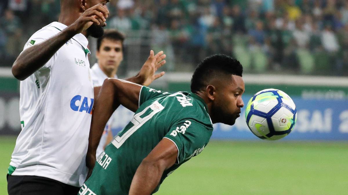 El delantero colombiano Miguel Ángel Borja se coronó campeón del Brasileirao 2018 y fue goleador de la Copa Libertadores con la camiseta de Palmeiras.