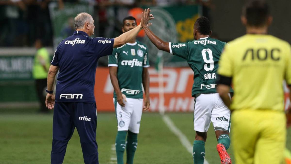 Luis Felipe Scolari respalda a Miguel Borja en Palmeiras.