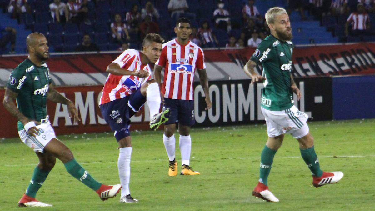 Junior recibe a Palmeiras en la primera fecha de la fase de grupos de Copa Libertadores 2019.