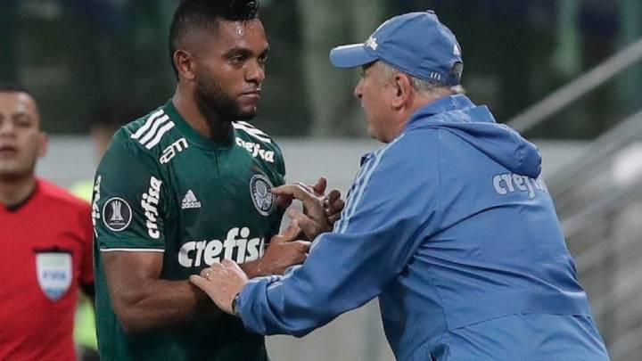 Miguel Borja se queda sin técnico, Scolari despedido del Palmeiras.