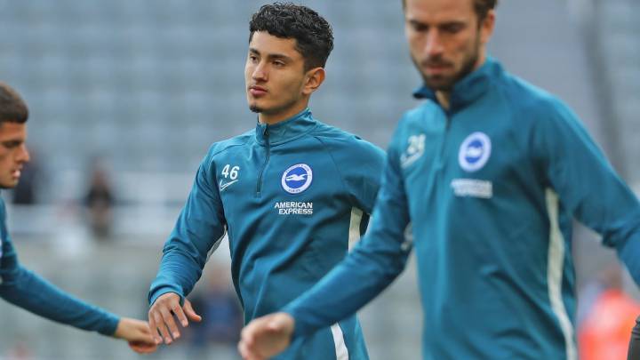 DT Brighton elogia a Steven Alzate, pero no le sorprendió su nivel