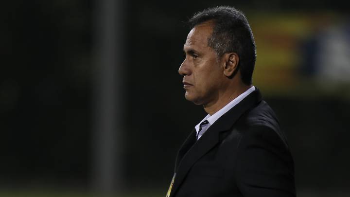 Hernán Torres, director técnico
