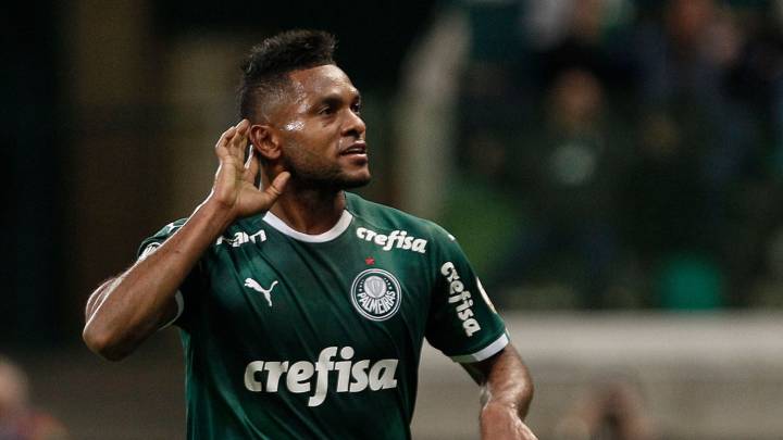 Miguel Borja sería titular con Palmeiras este domingo frente a Gremio