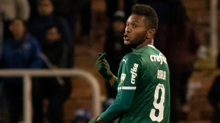 Miguel Ángel Borja, delantero colombiano del Palmeiras