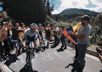 Alaphilippe, feliz con la afición: Casi se cae por llevar bandera
