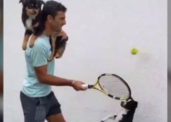 Farah sube el nivel del reto de Federer y lo hace con sus perros