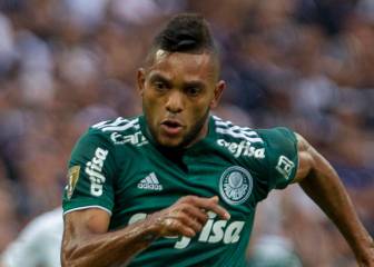 Palmeiras apelará decisión de FIFA en caso de Miguel Borja