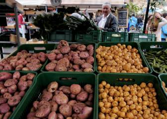 ¿Qué ayudas y subsidios tiene el Gobierno para el campo?