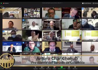 ¿Quiénes son los presidentes del Senado y la Cámara?