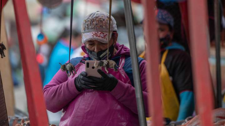 Cuarentena en Colombia: el Ingreso Solidario se sigue entregando en el país, el cuarto giro comenzará el 31 de julio y quien no han recibido podrá hacerlo