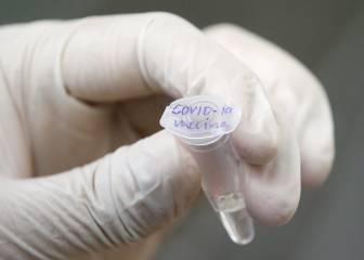 OMS confirma que hay seis vacunas en fase avanzada