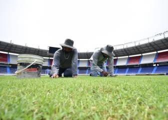 El Metropolitano, nueva grama y obras para la Selección
