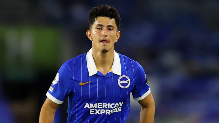 Steven Alzate, volante del Brighton