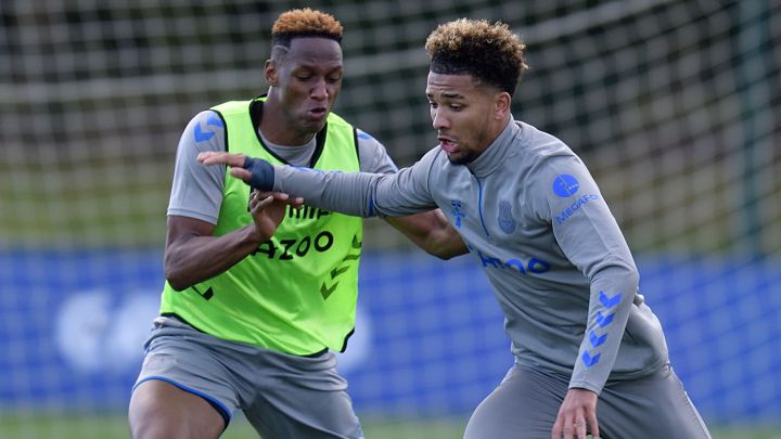 Mina y Holgate en Everton