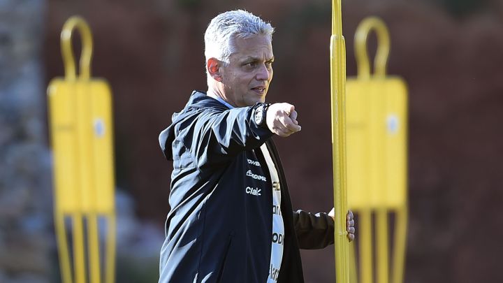 Reinaldo Rueda, director técnico colombiano