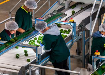 Jornada Laboral: ¿Por qué el gobierno rechaza reducirla?