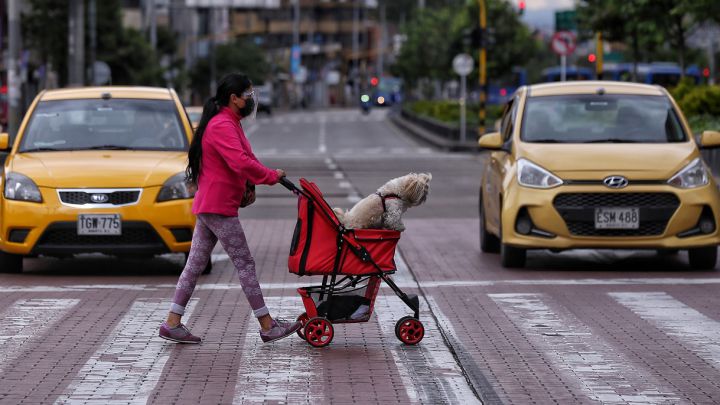 Sigue en vivo todo lo relacionado con el COVID-19 en Colombia: Casos, noticias y muertes de hoy.