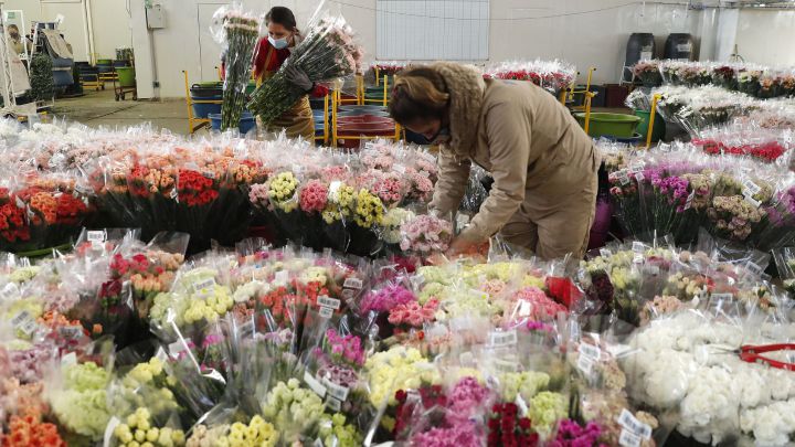 Día de San Valentín 2021 en Colombia: las mejores frases y dedicatorias de felicitación a tu pareja